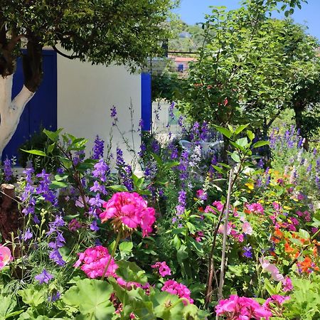 Anticlea II Villa Vathy  Dış mekan fotoğraf