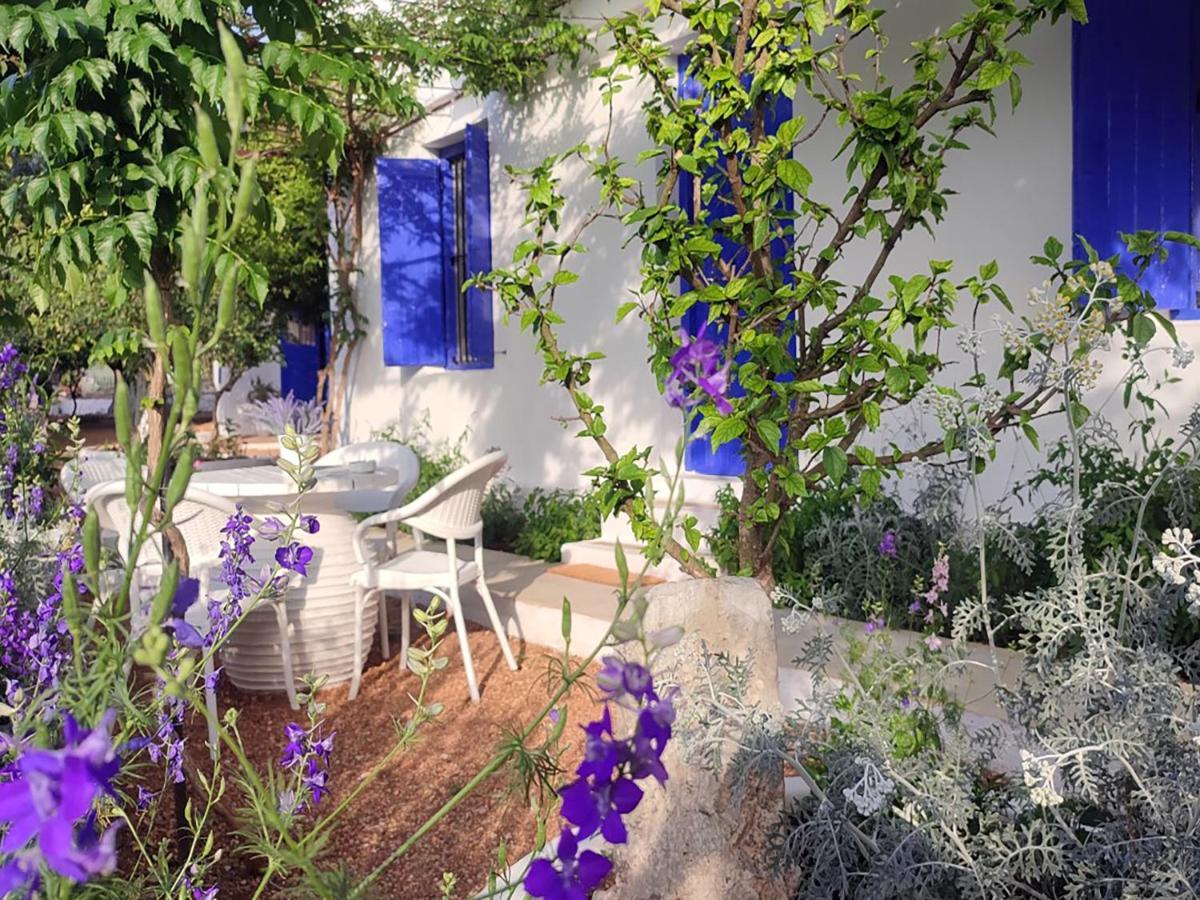 Anticlea II Villa Vathy  Dış mekan fotoğraf