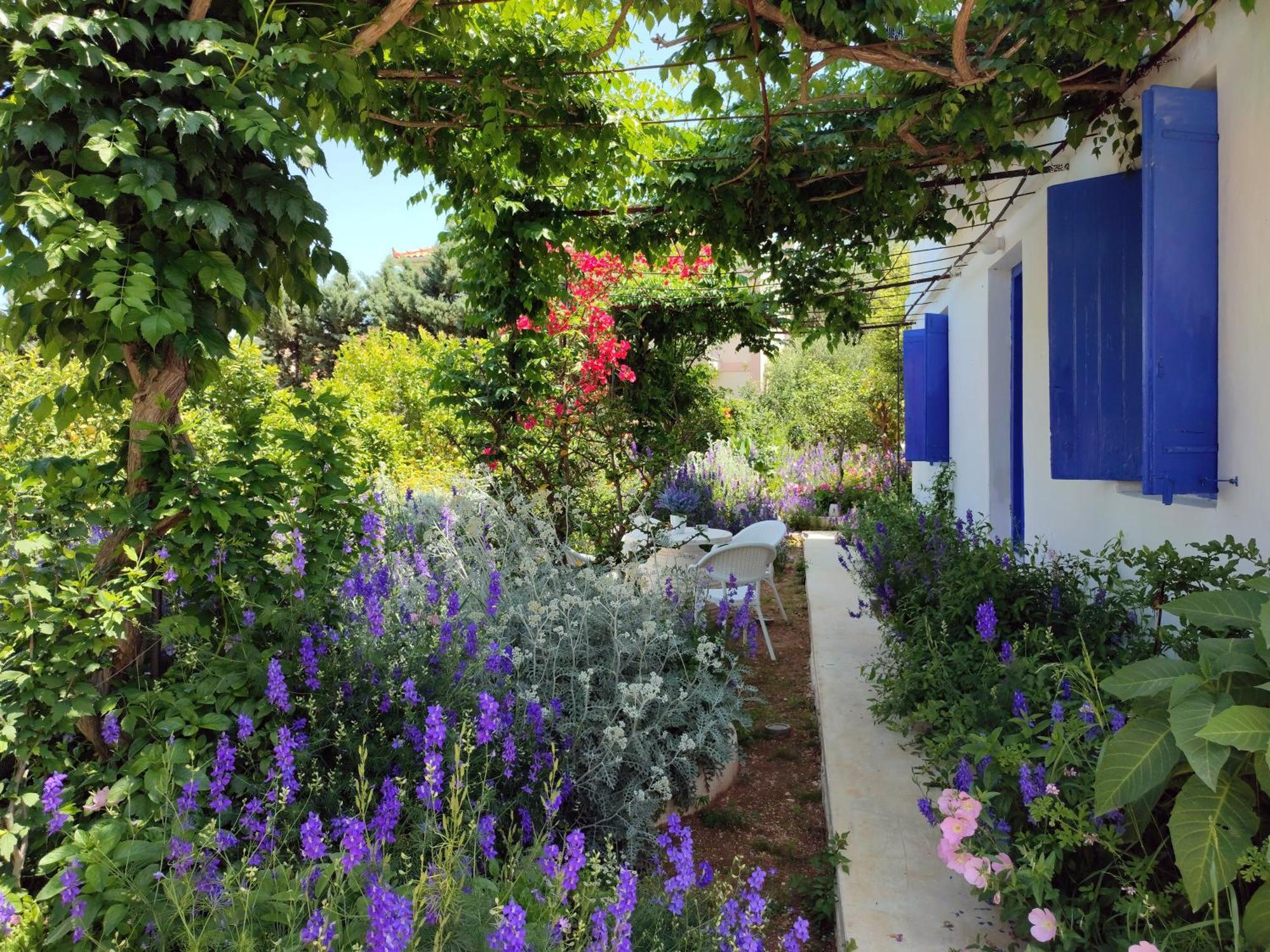 Anticlea II Villa Vathy  Dış mekan fotoğraf