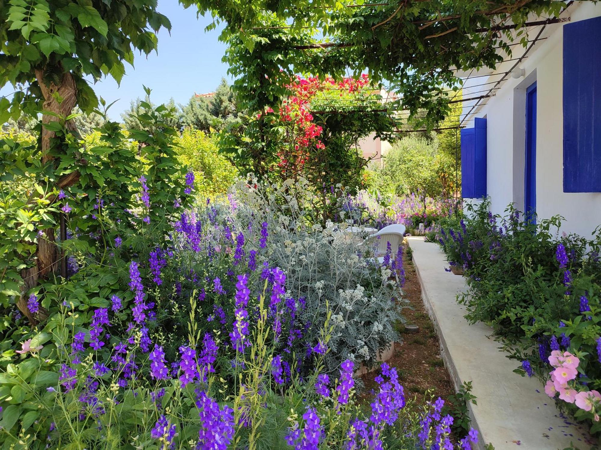 Anticlea II Villa Vathy  Dış mekan fotoğraf