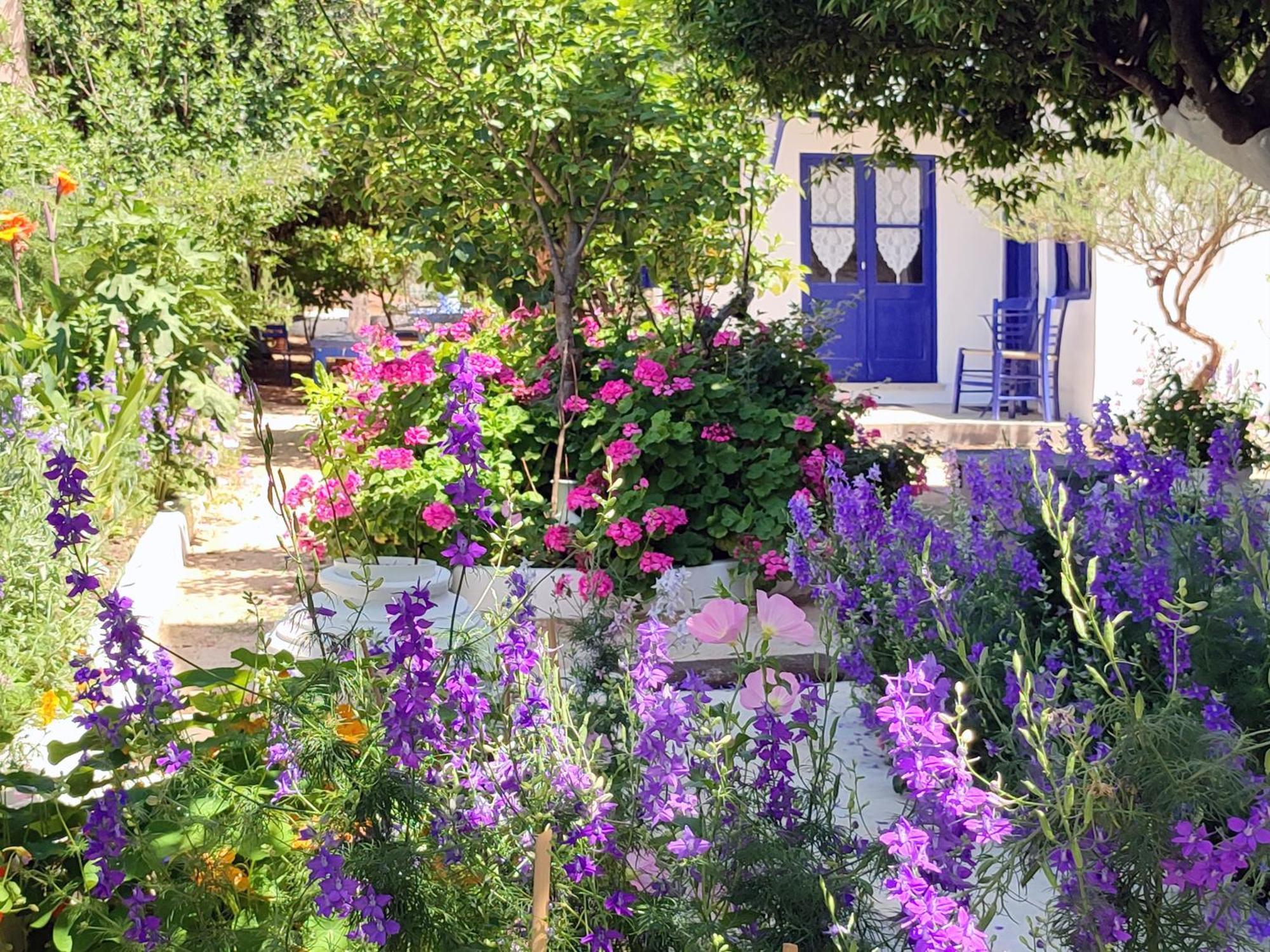 Anticlea II Villa Vathy  Dış mekan fotoğraf