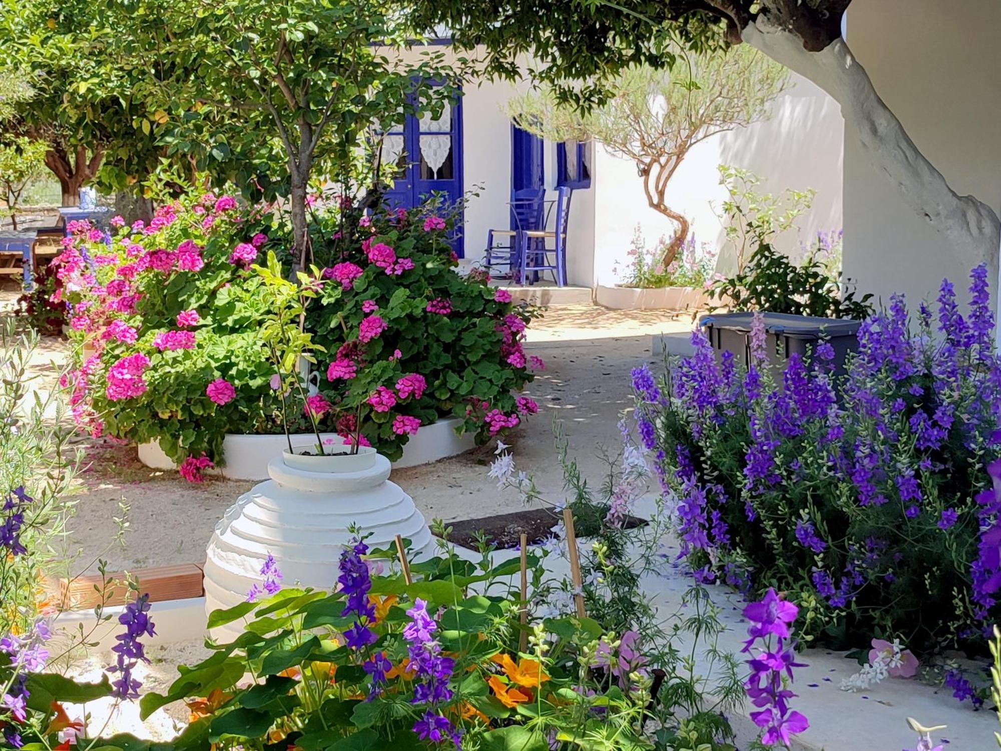 Anticlea II Villa Vathy  Dış mekan fotoğraf